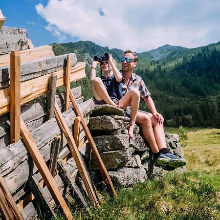 Chalet Freiblick Kleinhaid, Hollersbach Hollersbach im Pinzgau Exterior foto