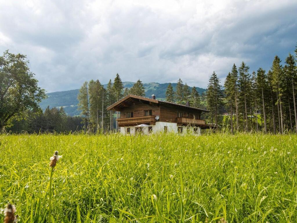 Chalet Freiblick Kleinhaid, Hollersbach Hollersbach im Pinzgau Exterior foto